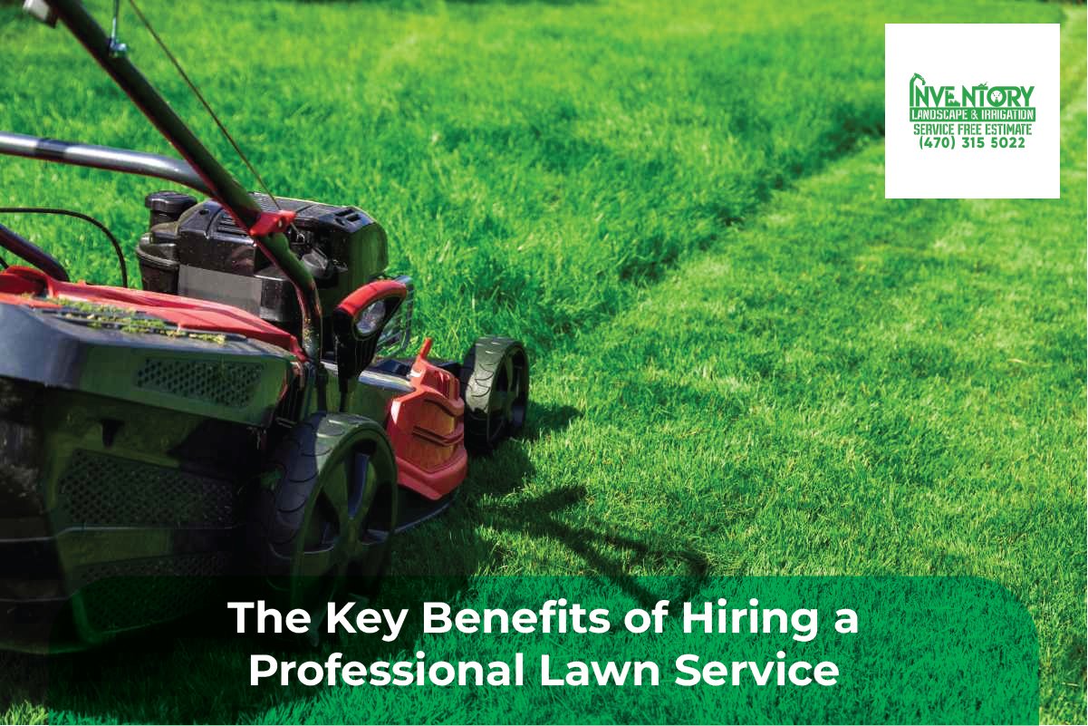 Lawn Services