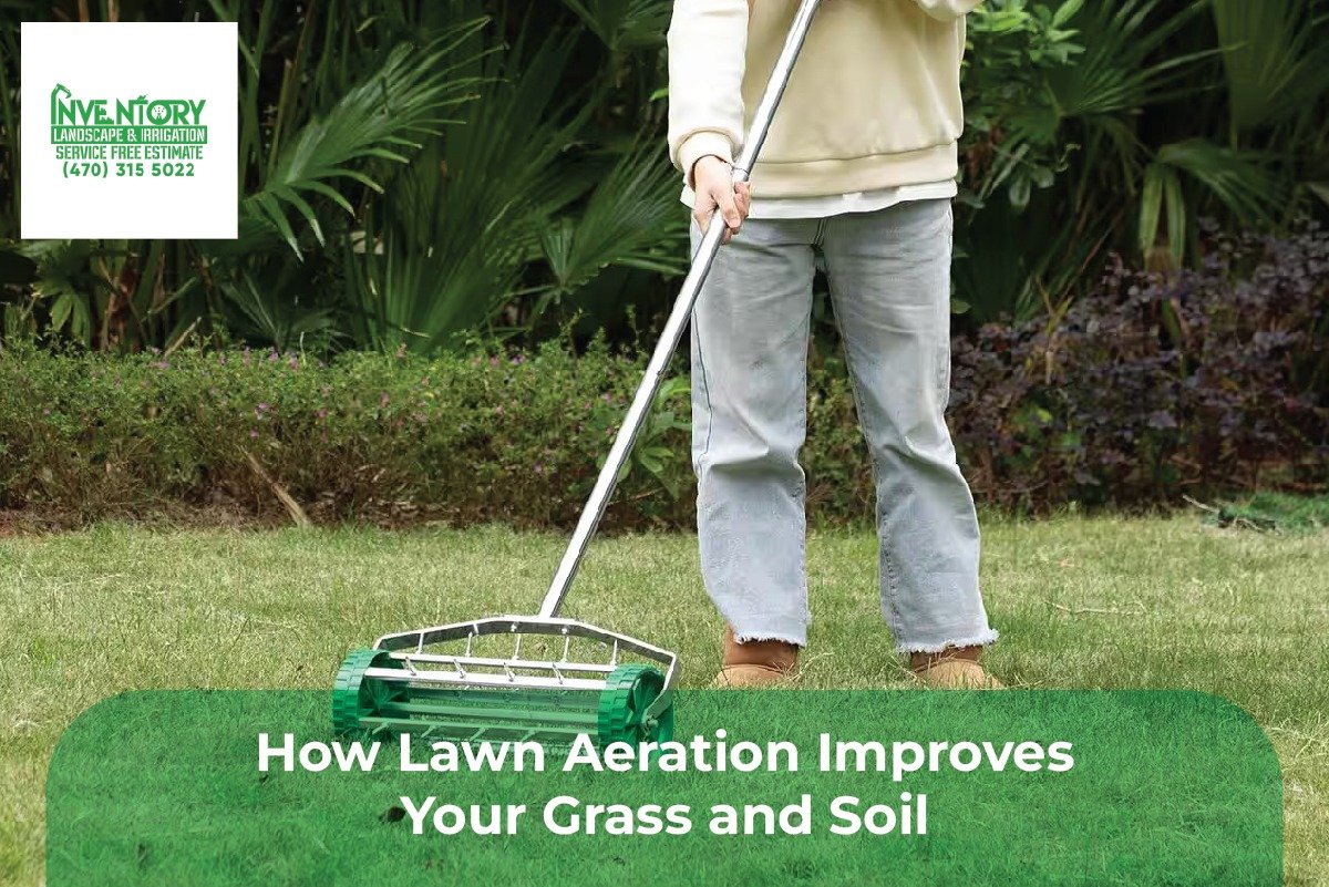 Lawn Aeration