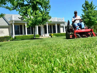 Lawn Maintenance